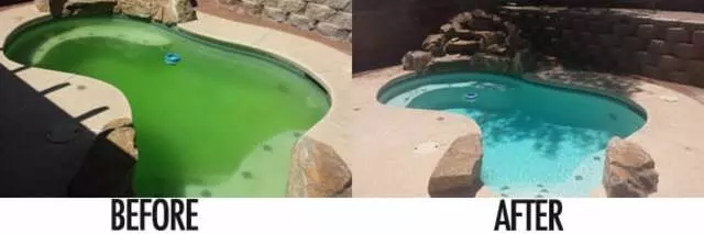 All American Pool Service
