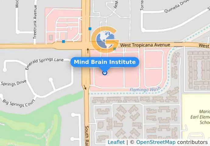 Mind Brain Institute