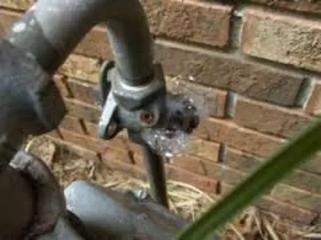 Absolute Plumbing