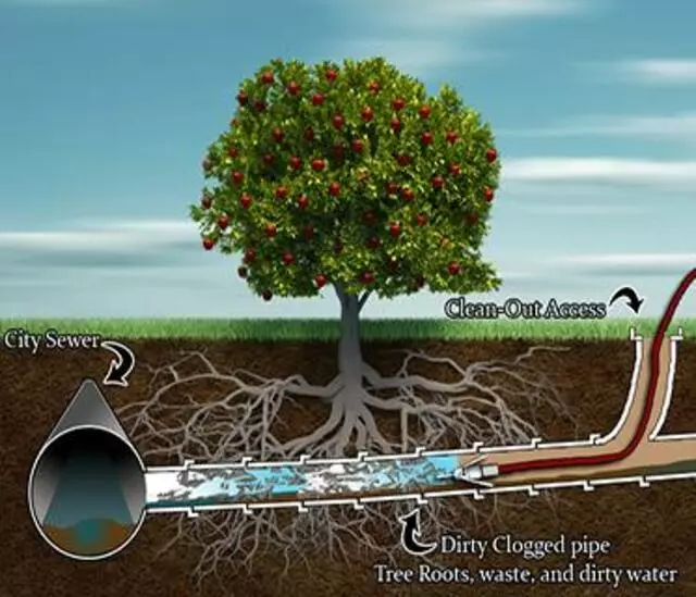 Absolute Plumbing