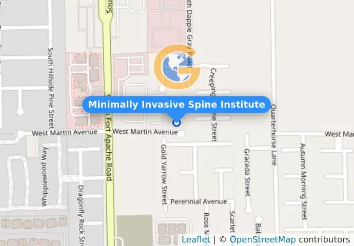 Minimally Invasive Spine Institute