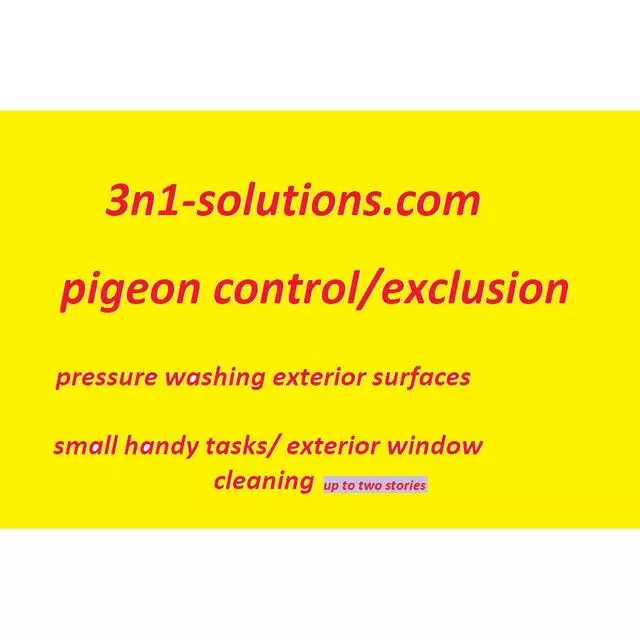 3n1 solutions