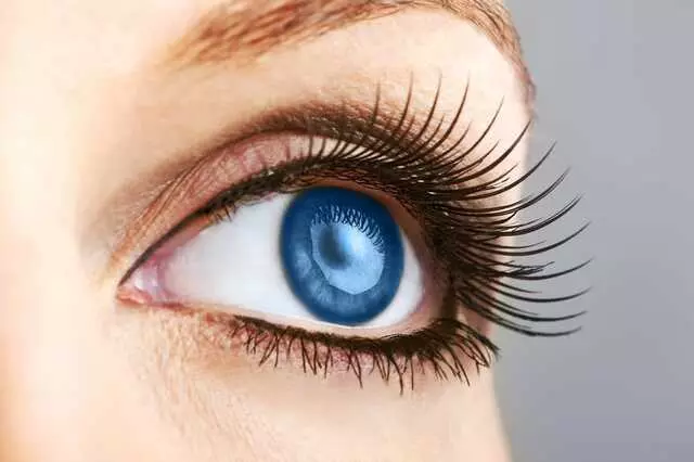 Advanced Vision Institute