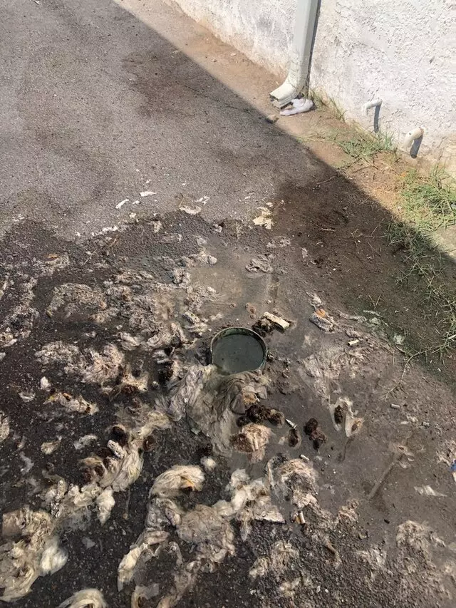 Nevada Drain
