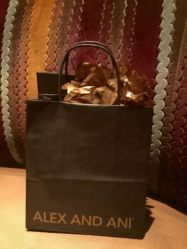 ALEX AND ANI