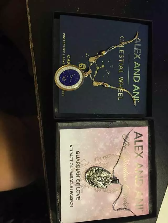 ALEX AND ANI