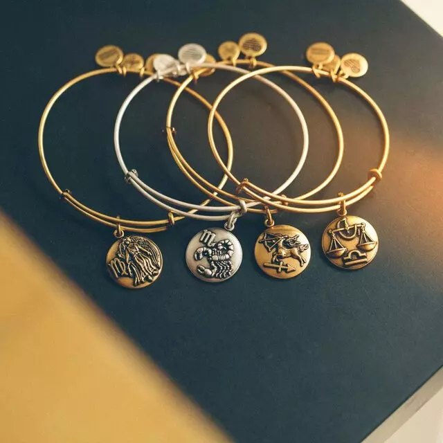 ALEX AND ANI