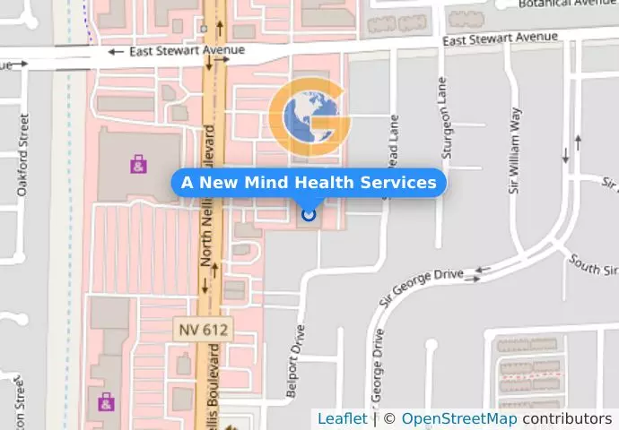 A New Mind Health Services