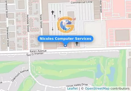 Nicoles Computer Services