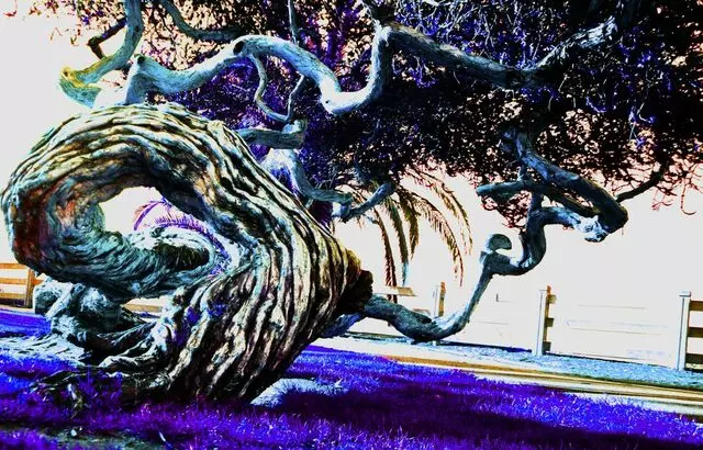 Darth Chelios' Art and Photography