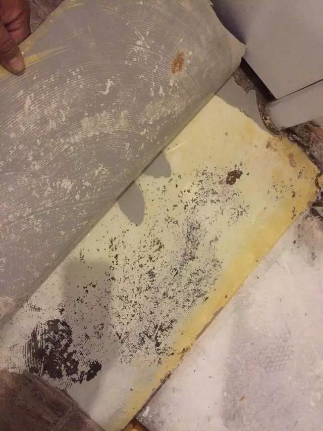 5 Star Restoration