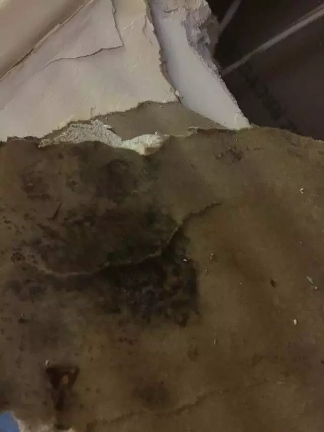 5 Star Restoration