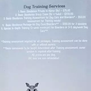 Boogie Time Boarding Grooming & Daycare