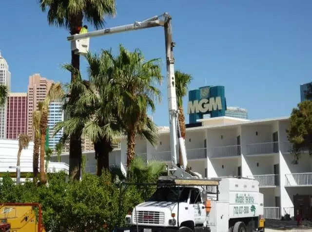 Affordable Tree Service