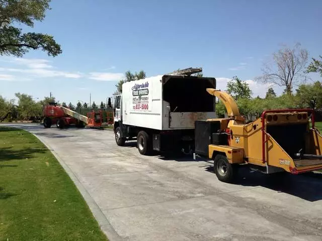 Affordable Tree Service