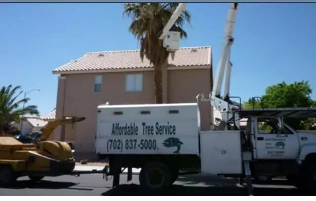 Affordable Tree Service