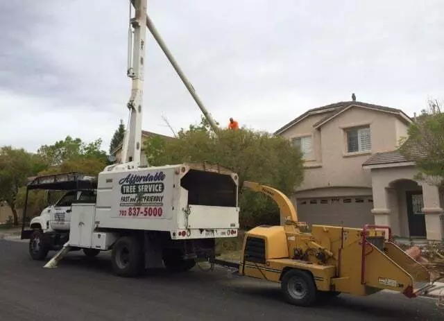 Affordable Tree Service