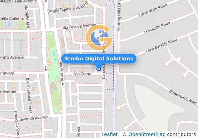 Tembo Digital Solutions