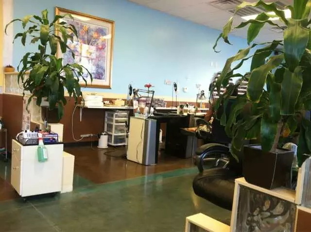 Angel Nails & Spa