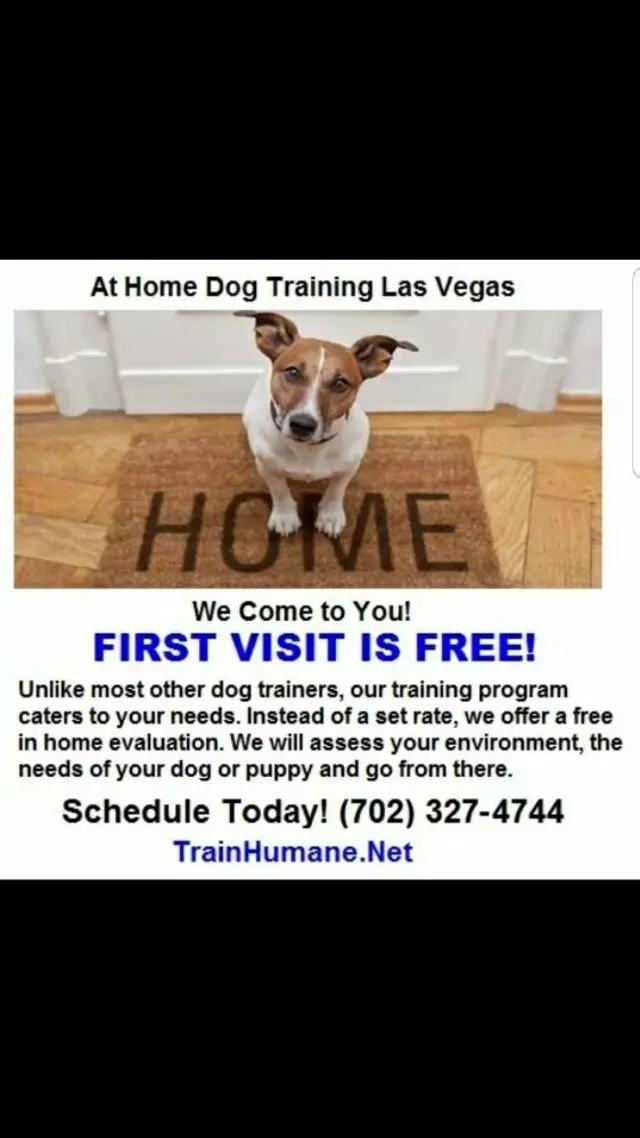 At Home Dog Training
