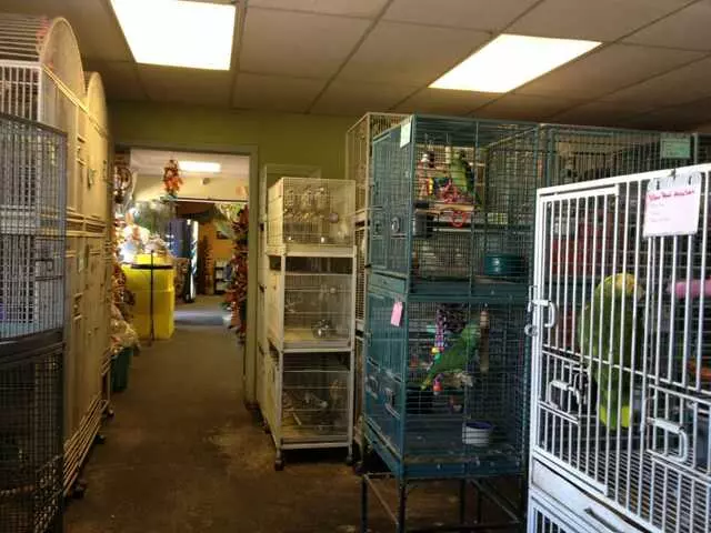 A Bird Farm