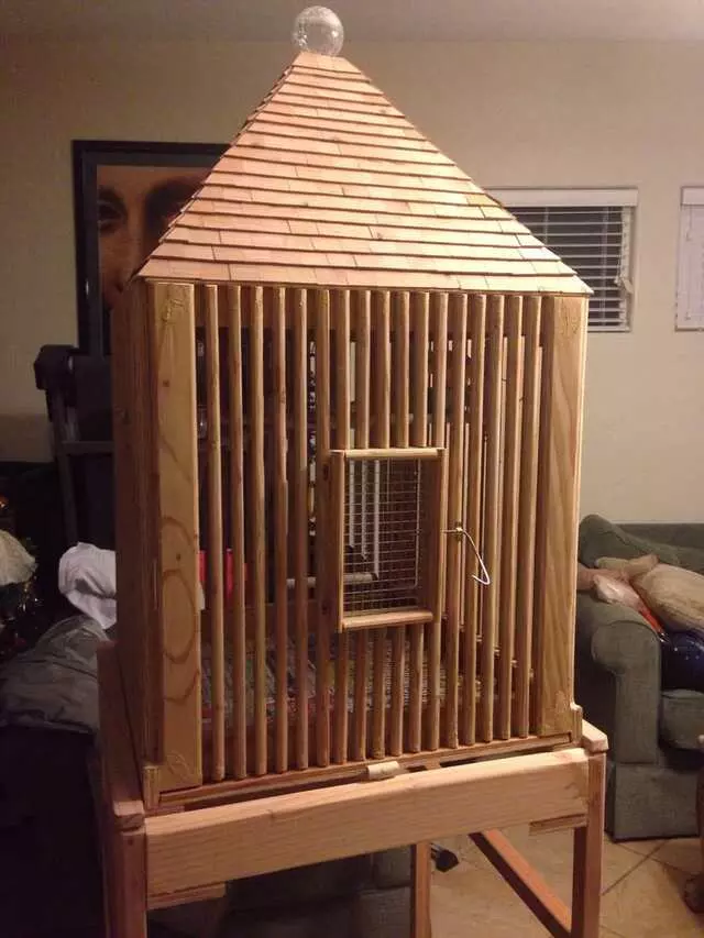 A Bird Farm