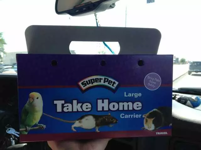 A Bird Farm