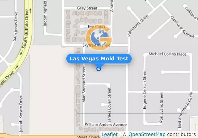 Las Vegas Mold Test