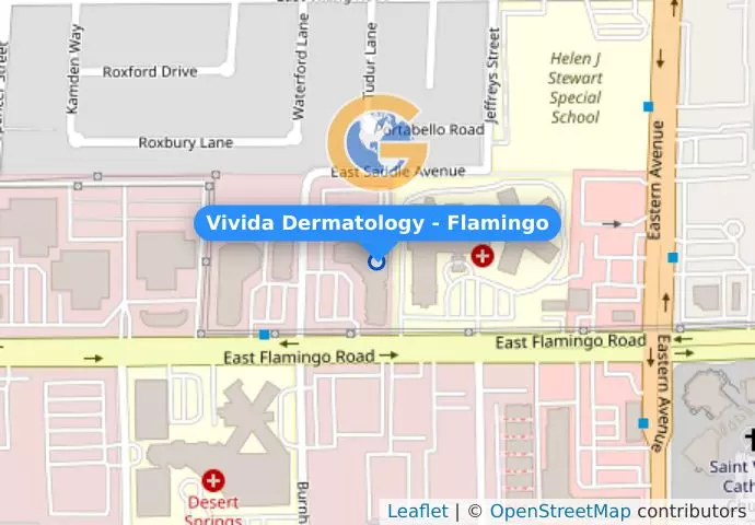 Vivida Dermatology - Flamingo