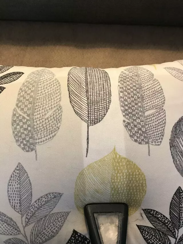 Aaall Included Carpet Cleaning