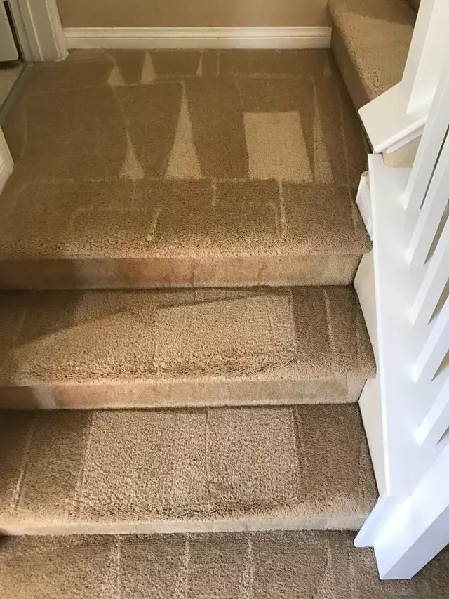 Aaall Included Carpet Cleaning