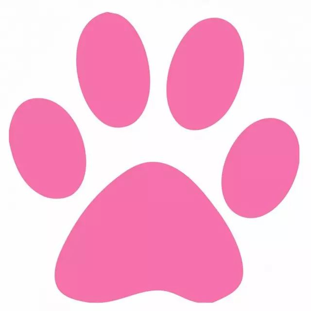 Mj’s Pet Caregivers