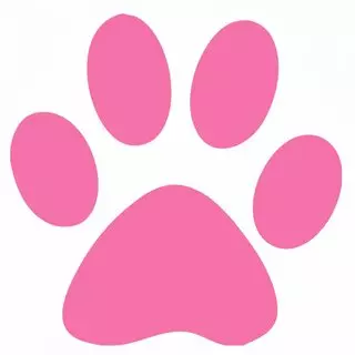 Mj’s Pet Caregivers