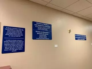 Division of Welfare and Supportive Services