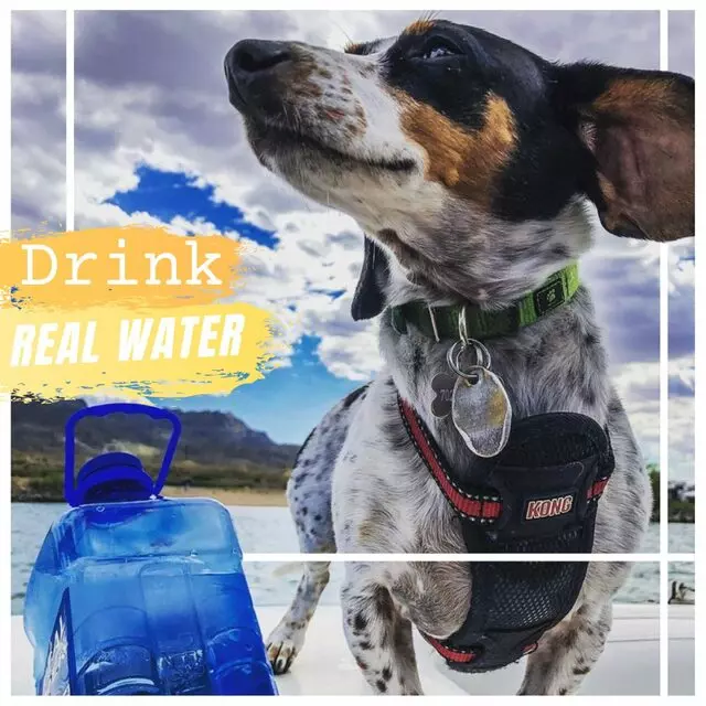 Real Water
