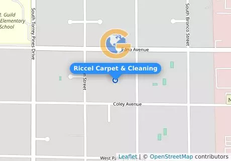 Riccel Carpet & Cleaning