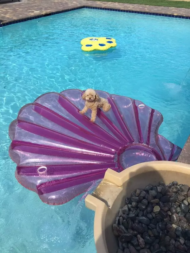 Artistic Pool & Spa