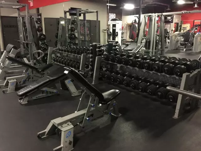 Chase The Trainer