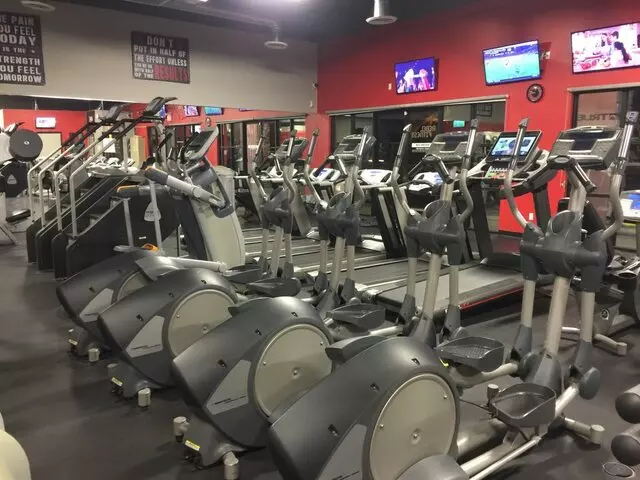 Chase The Trainer