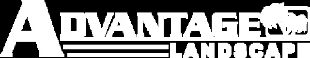 Advantage Landscape