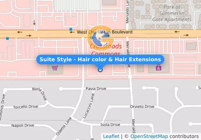 Suite Style - Hair color & Hair Extensions