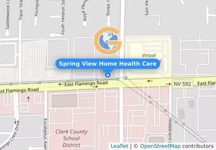 Spring View Home Health Care