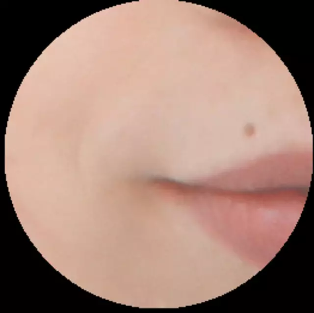 Alluring Brows