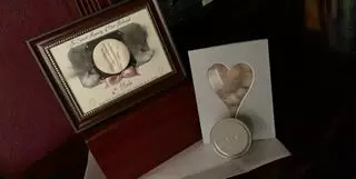 1st Call Pet Cremation