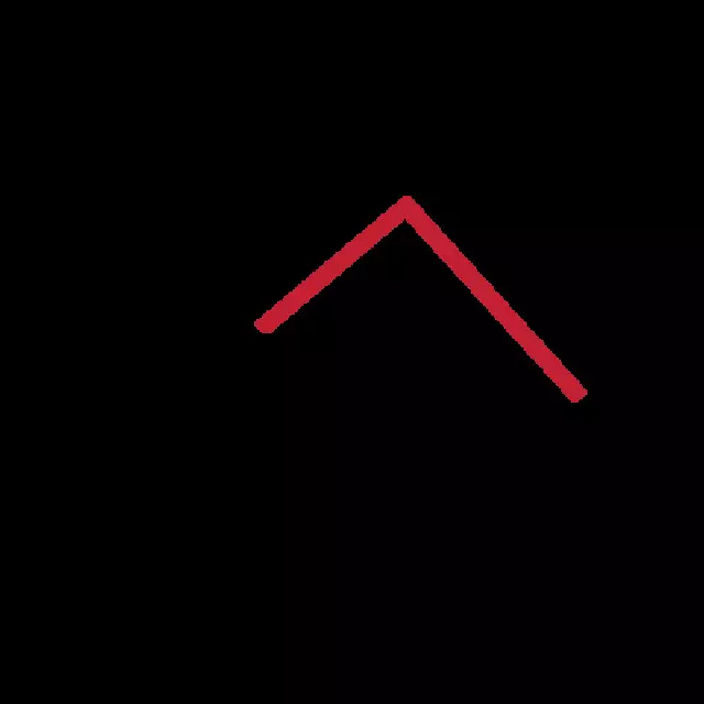 Pinnacle Financial Services