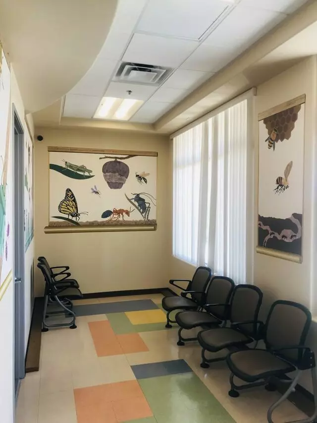 Children's Dental Group