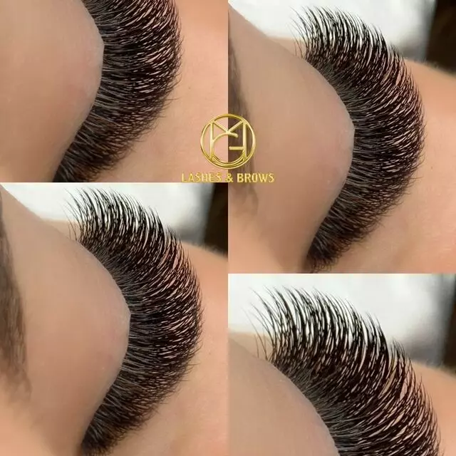 OMG Brows & Lashes
