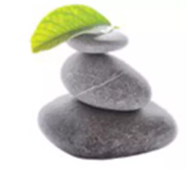 Spring Mountains Acupuncture, Fertility & Wellness