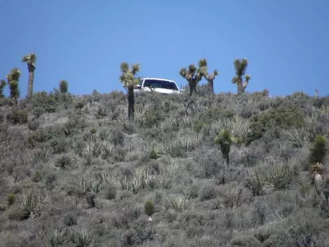 Area 51 Trips