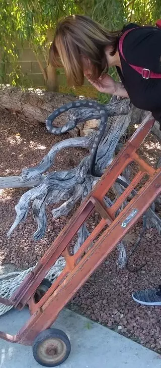 Fifty Shades of Rust